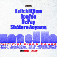 [minimal disco house]